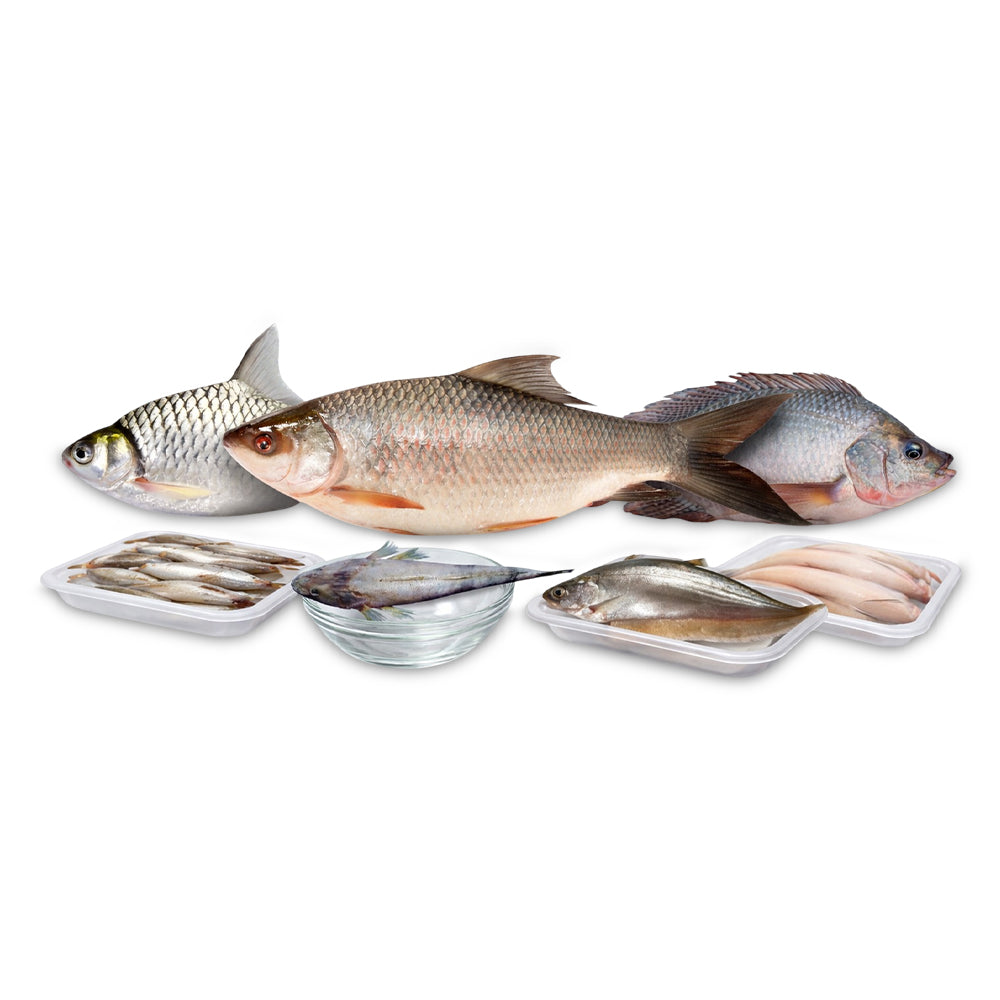 Family Fish Saver Combo