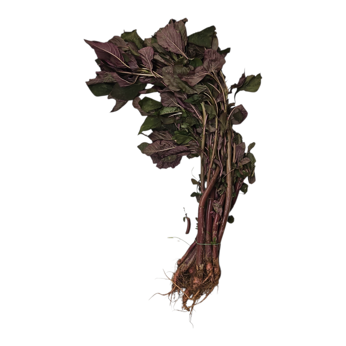 Deshi Data with leaves 500g