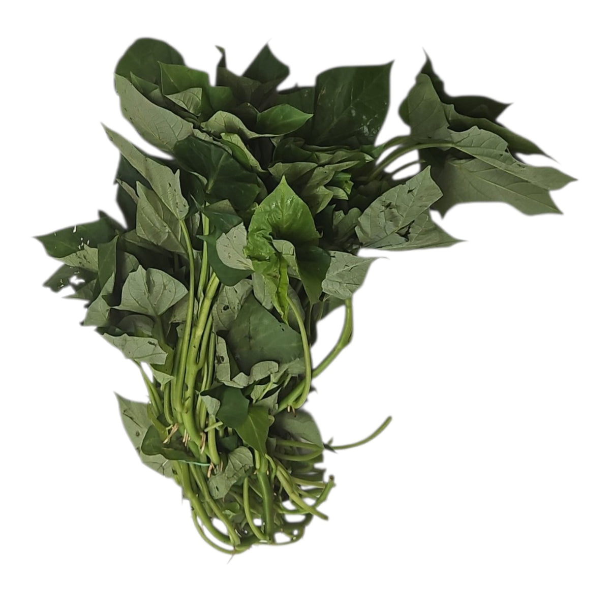 Sweet Potato Leaves (মিষ্টি আলুর শাক ) Sunderban Asian Supermarket