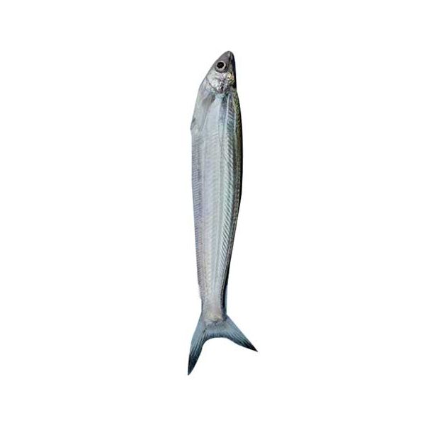 Baspata fish