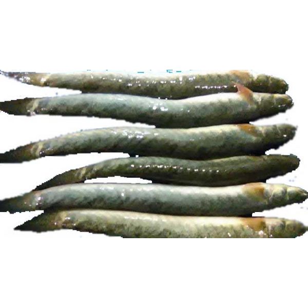 Chiring Mach (Cleaned)