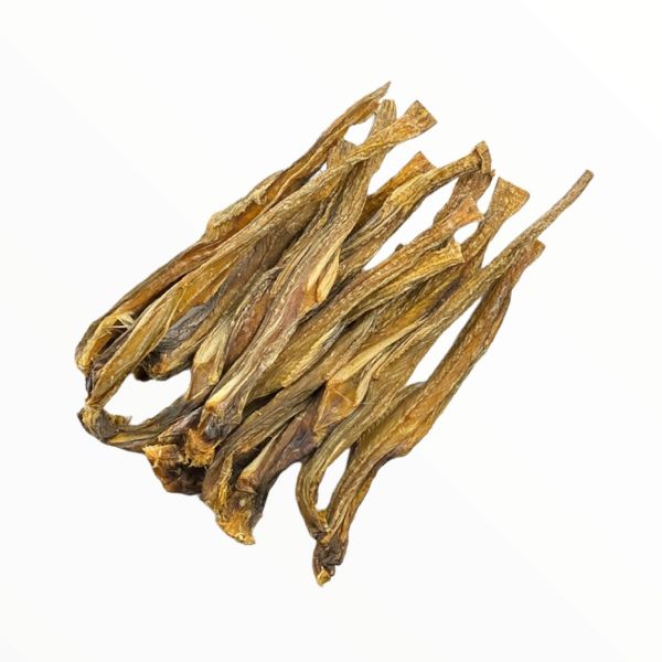 Lottia dry fish (shutki)