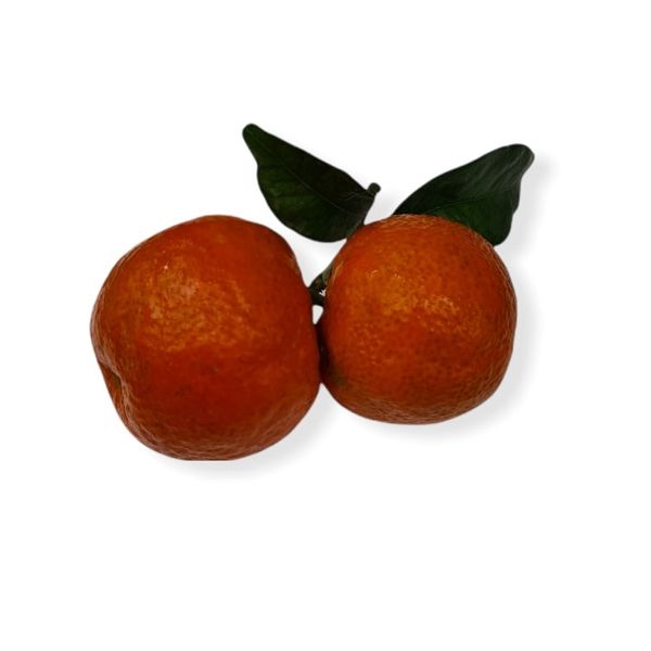 Fresh Orange (তাজা কমলা লেবু )