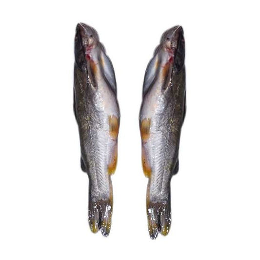 Gulsha Tengra fish 500g