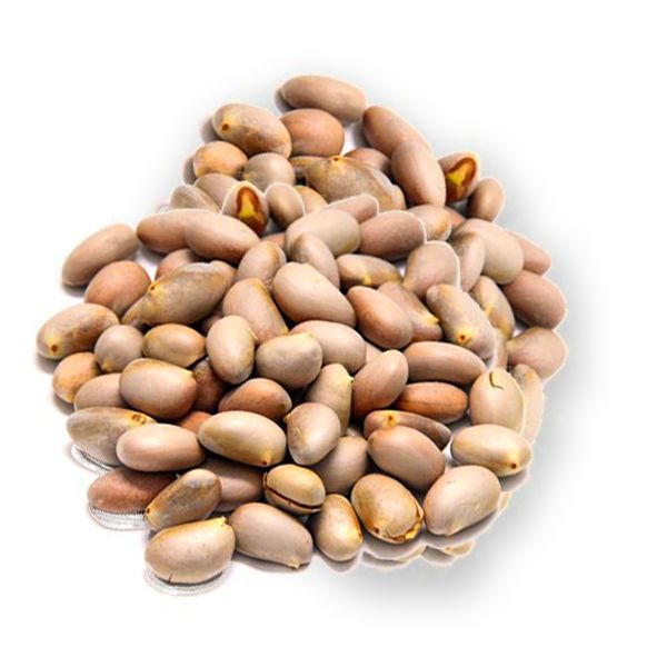 Fresh Jackfruit seeds 500g
