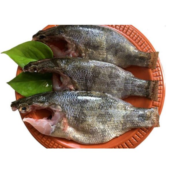 Meni Fish (মেনি মাছ)