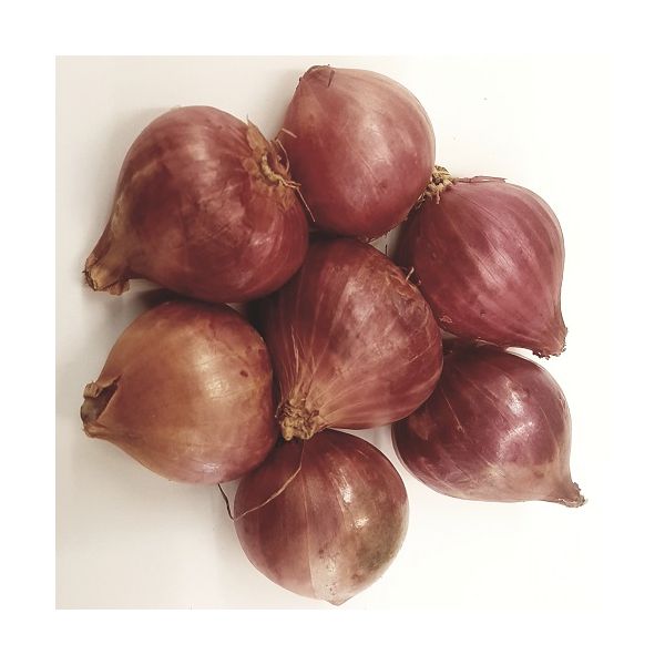 Bilogical Sambar Onion (মুড়ি পেঁয়াজ )