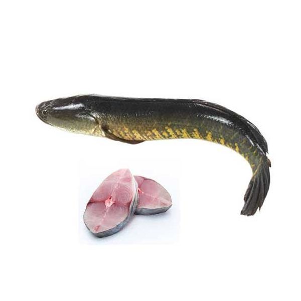Shol Fish 500g