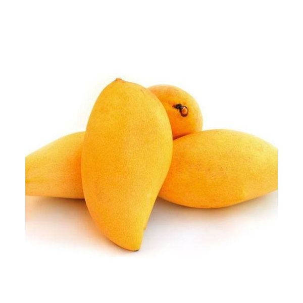 Sindhri Pakistani Mango