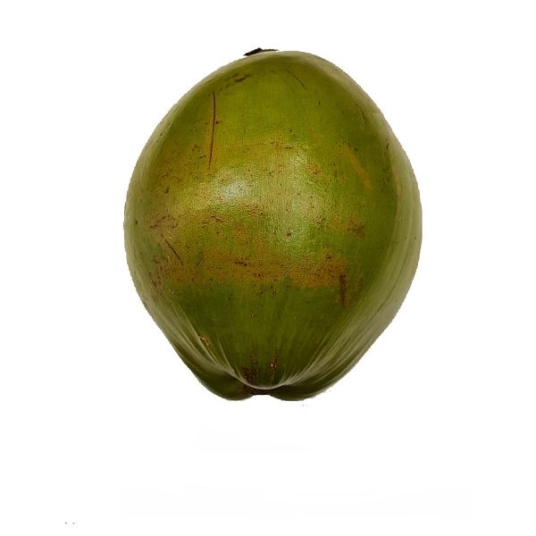 Young Coconut