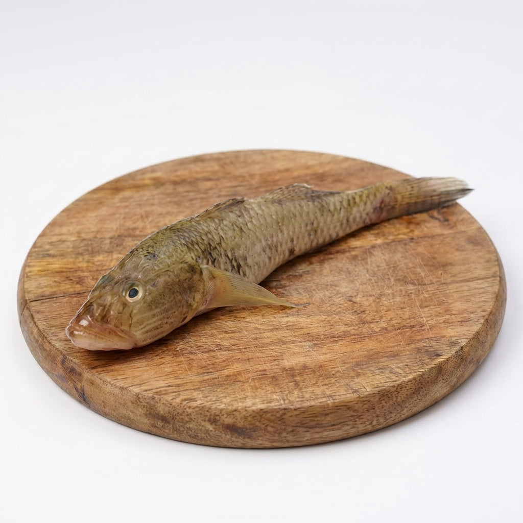 Baila fish