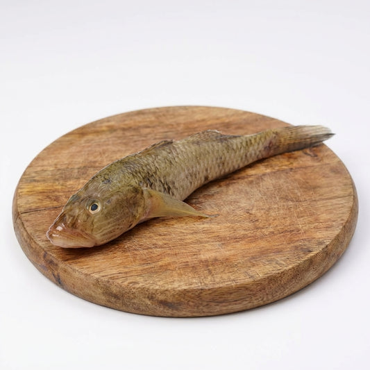 Baila fish