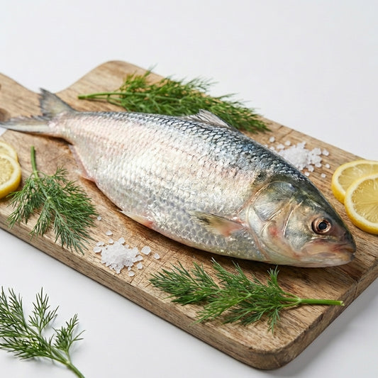 Hilsa Fish (পদ্মার ইলিশ, from Padma)