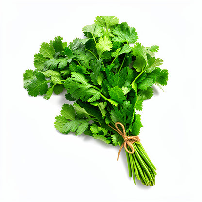 Fresh Coriander Leaves