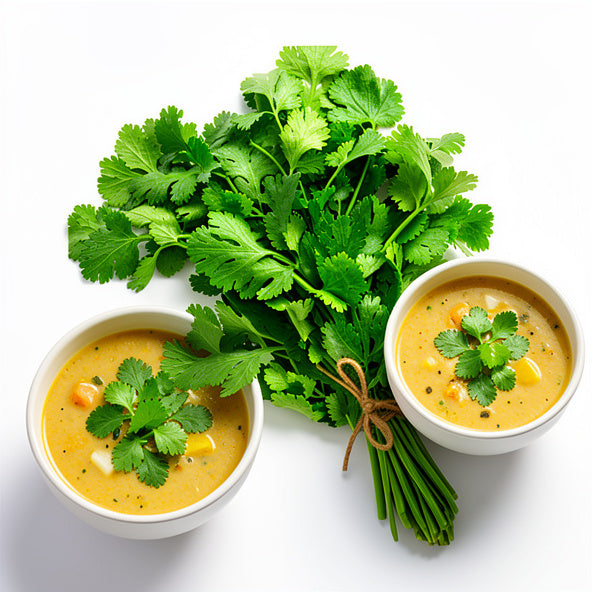 Fresh Coriander Leaves