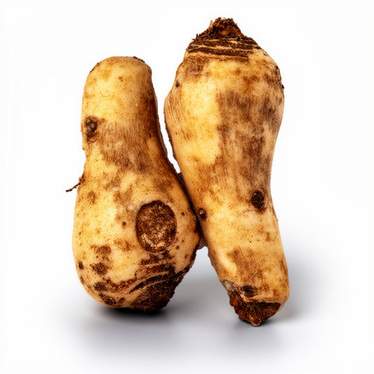 Arvi (কচুর মুখি)