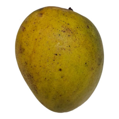 Haribhanga (হাঁড়িভাঙ্গা আম) Mango 1kg