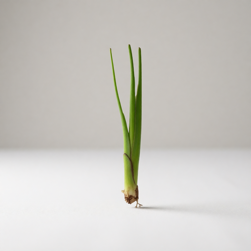 Deshi Kachur Doga (ছোট কচুর ডগা )