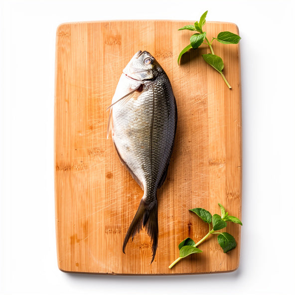Pomfret fish
