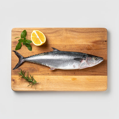 Indian Kingfish 2.8-3kg