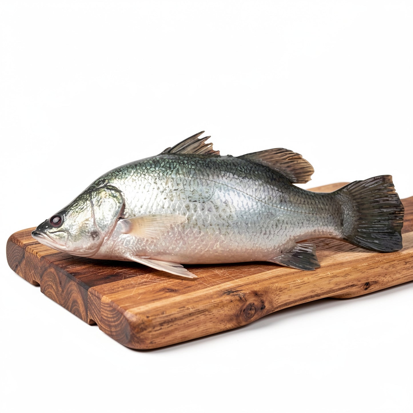Bhetki 1.1kg