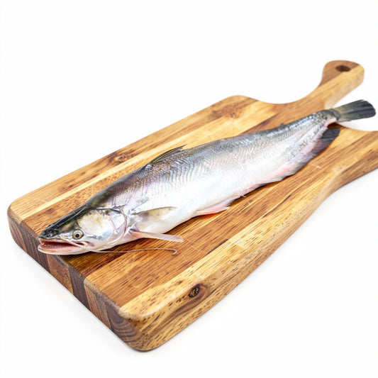 Boal Fish-বোয়াল  মাছ
