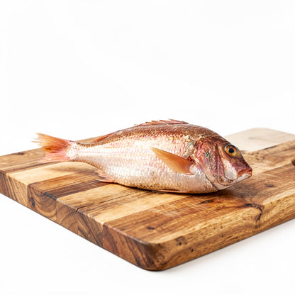 Red Snapper