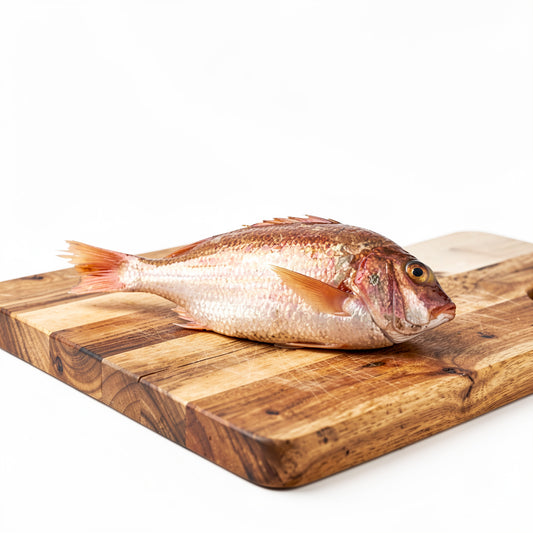 Red Snapper