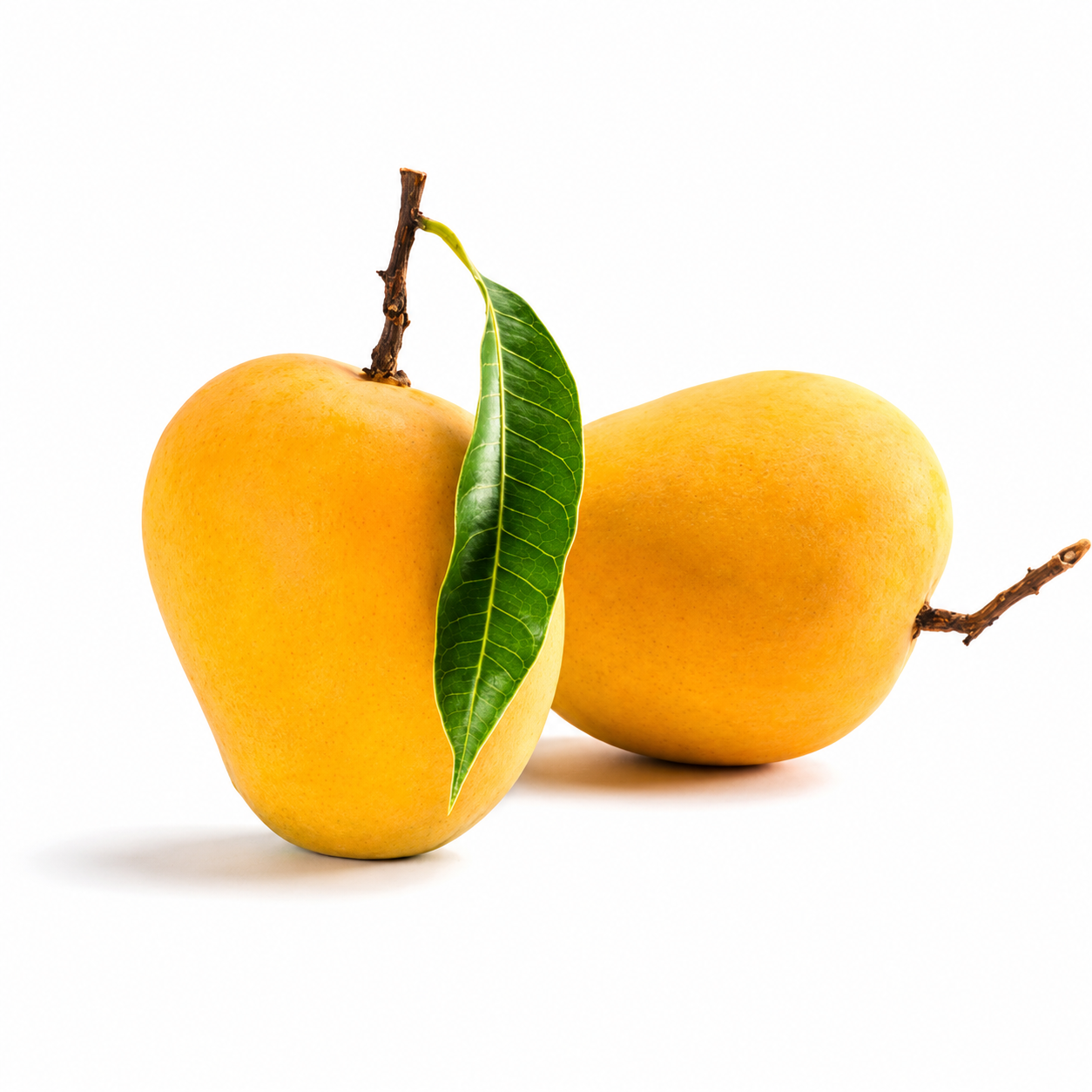 Alphonso Primium Mango 1.2-1.3 kg