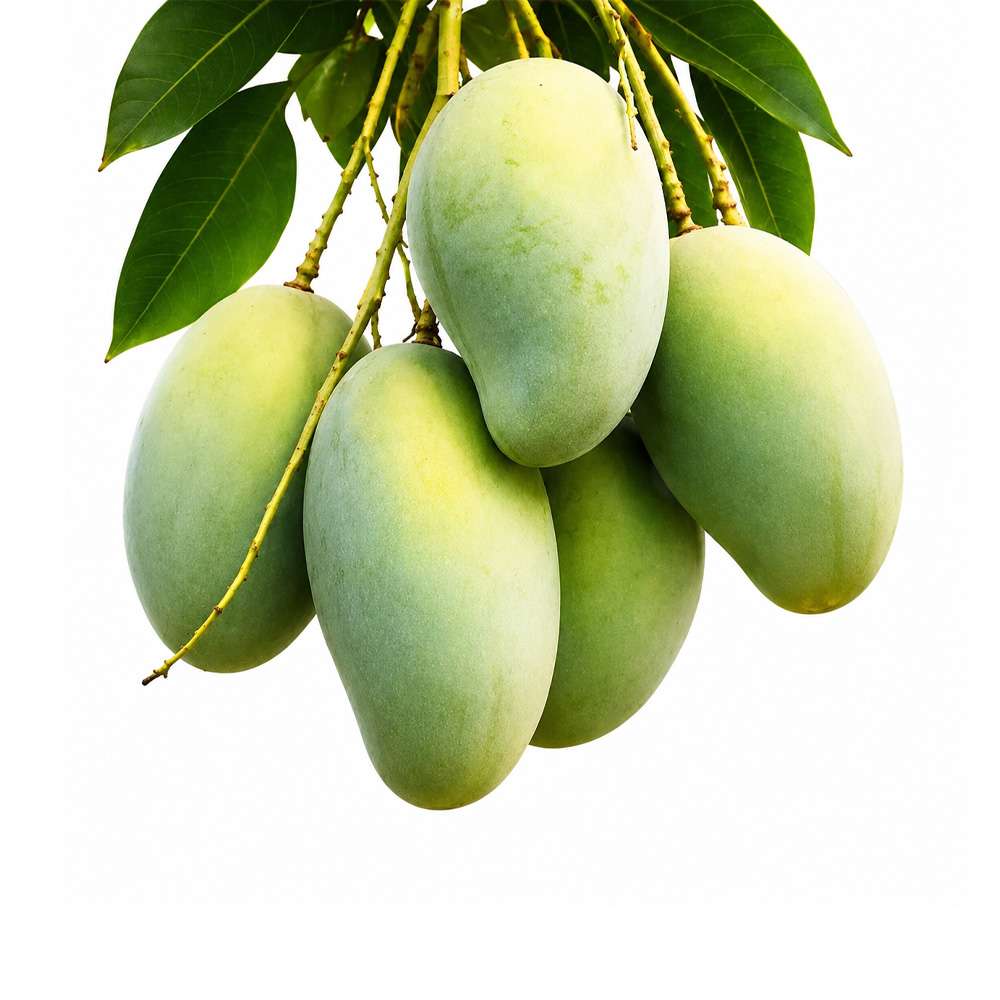 Amropali Mango 1kg