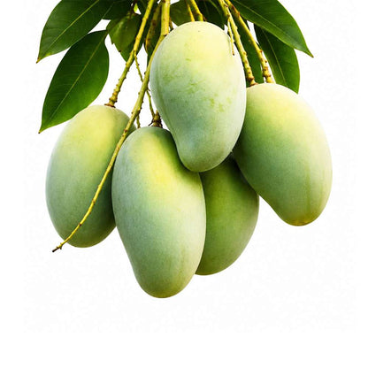 Amropali Mango 1kg