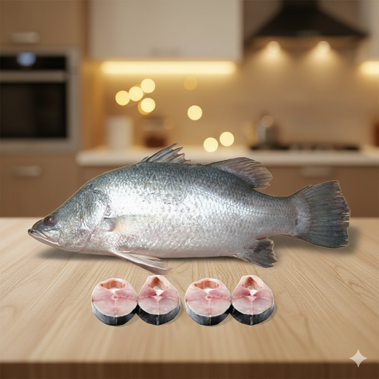 Bhetki Fish 3.4- 3.6kg