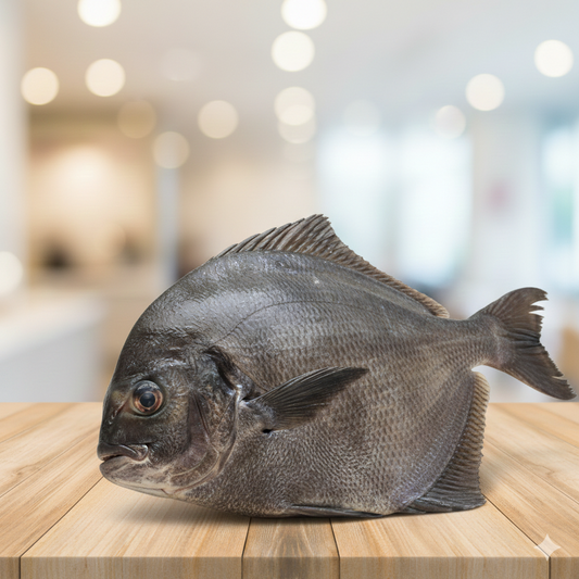 Black Pomfret 1.3-1.5kg