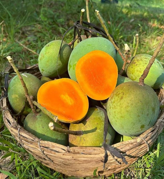 Himsagar Mango (হিমসাগর আম) 1kg
