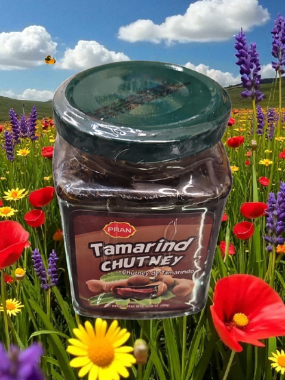 Pran Tamarind Chutney 300g (Buy 2 Get 1 Free) Sunderban Asian Supermarket
