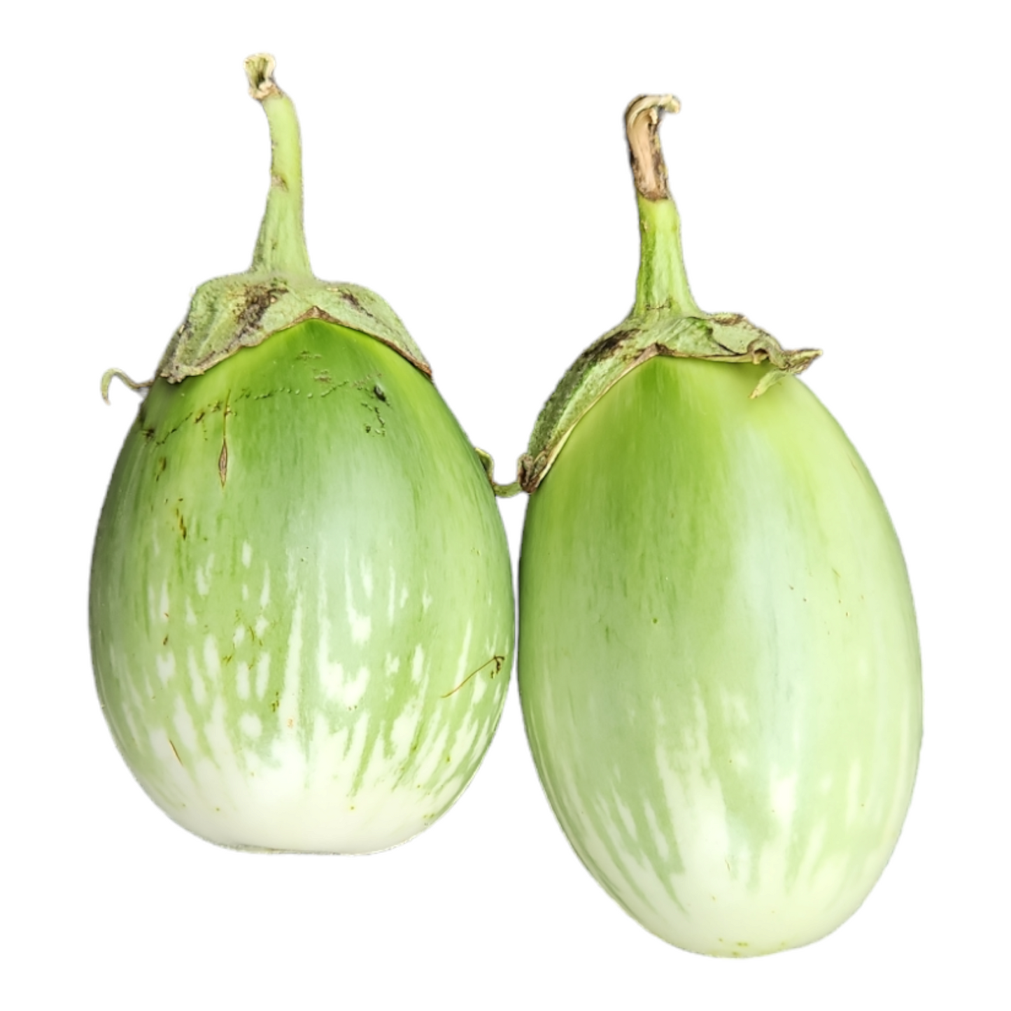 Deshi Green Brinjals (Begun) 500g