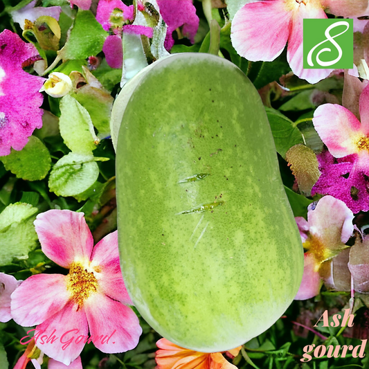 Water Pumpkin (Ash Gourd, জালি কুমড়া ) Epprox. 1 kg