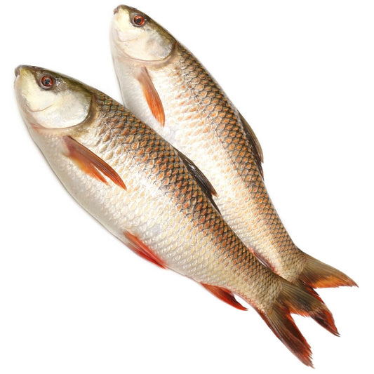 Rohu fish (Frozen)