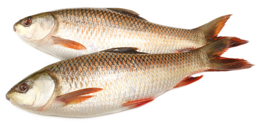 Rohu fish (Frozen)