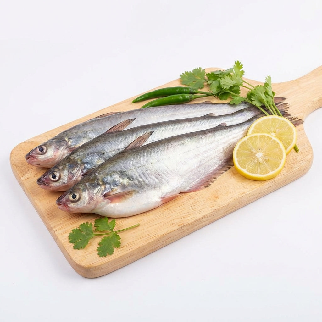 Sunder Fish Pabda fish in Ice Block 500g – Sunderban Asian Supermarket