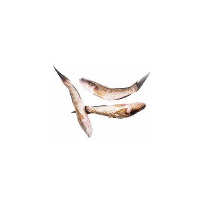 Baila fish