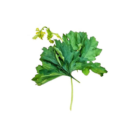 Bitter Gourd Leaves (করল্লা শাক )