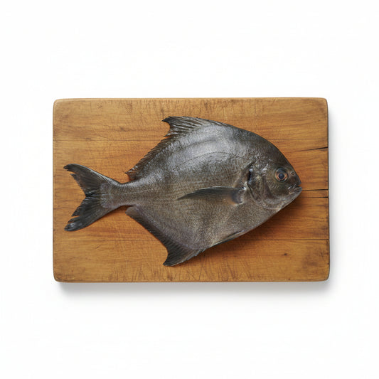 Black Pomfret 300-350g