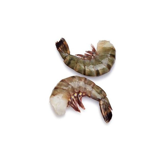Black tiger shrimp 16/20 H/L