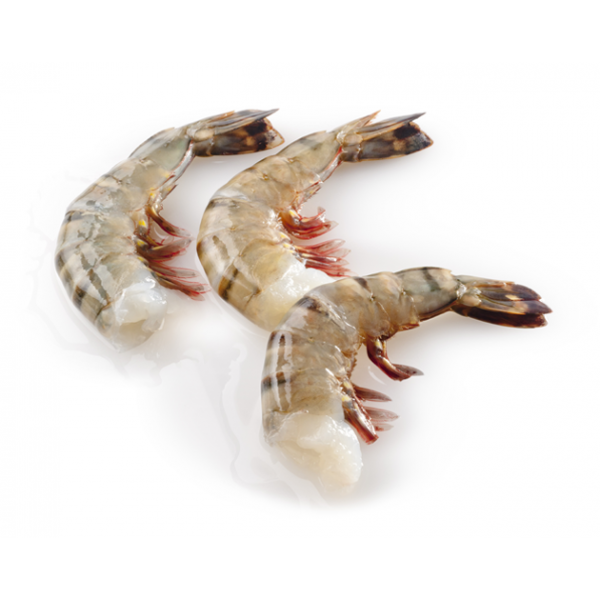 Black Tiger Shrimp 13/15 Head Less