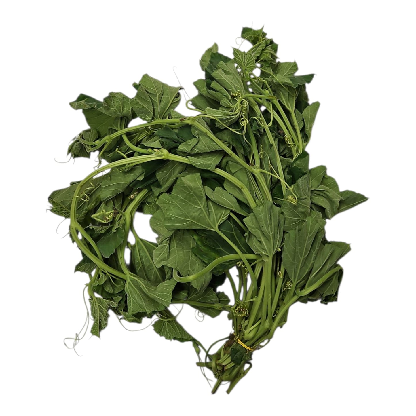 Bottle Gourd Spinasch ( kodu, lau, লাউ শাক ) 500g (Buy 3 get 1 Free)