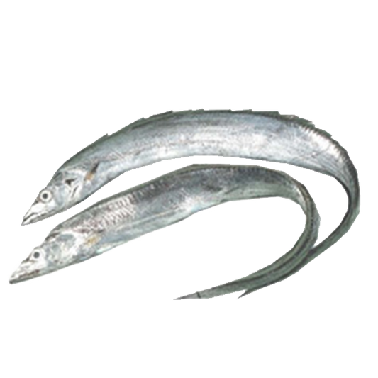 Silverbelt /Ribbon Fish (ছুরি মাছ)