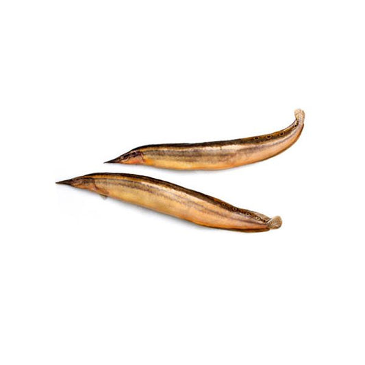 Whole Star Eel (Baim) Fish বাইম মাছ
