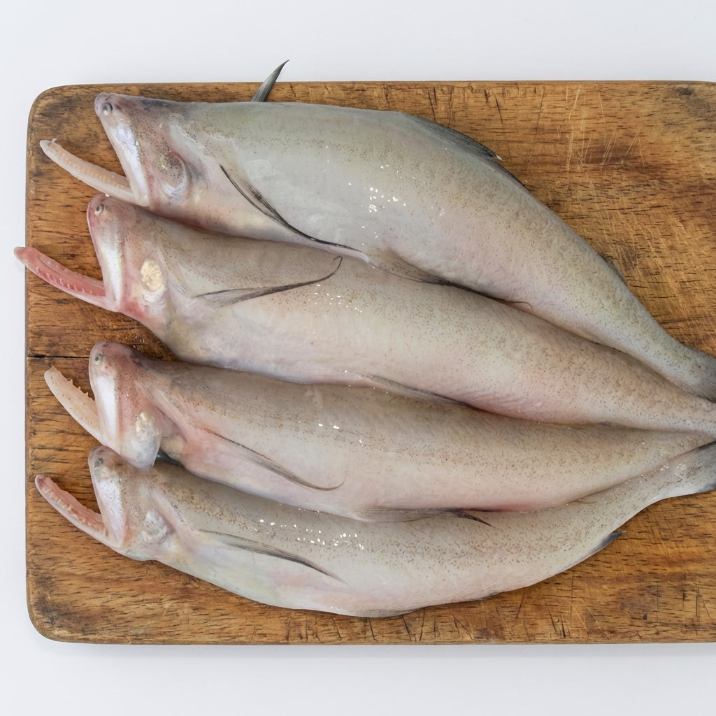 Loitta Fish (In Ice Block) 500g