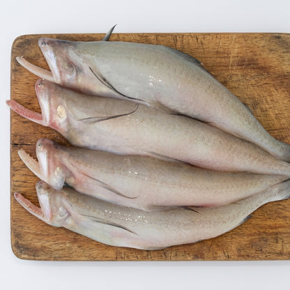 Loitta Fish (In Ice Block) 500g
